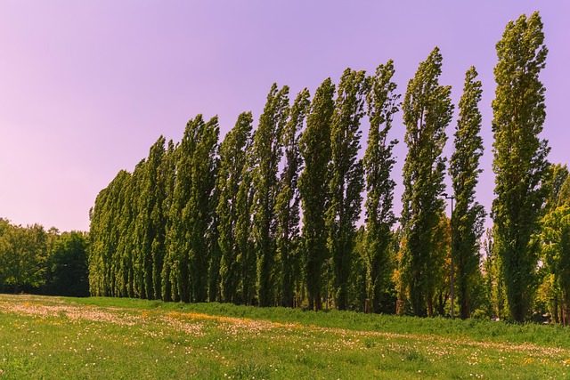 peaceful nature scene with person journaling outdoors for stress awareness practice